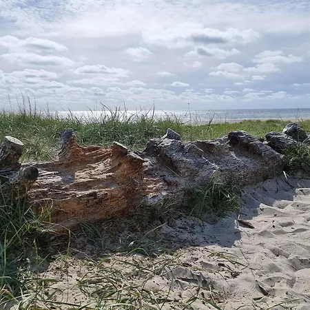 Luxury Retreat In - By Traum Feriehus Blåvand