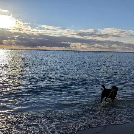 Feriehus Luxury Retreat In - By Traum *