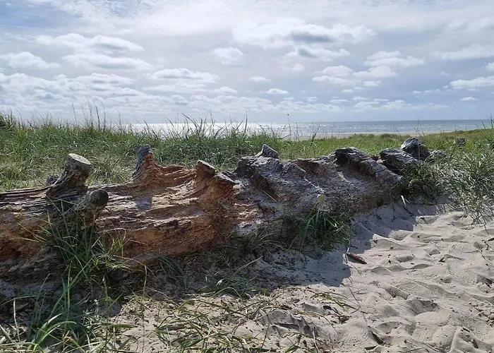 Luxury Retreat In - By Traum Feriehus Blåvand