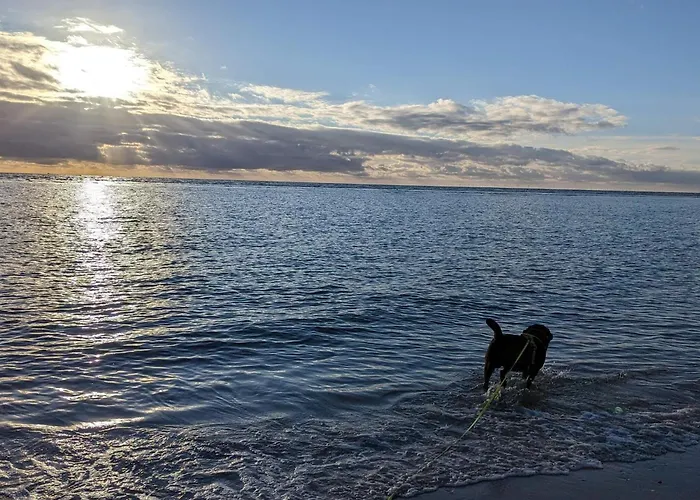 Feriehus Luxury Retreat In - By Traum *